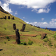 Ladera del Rano Raraku con una serie de moáis. Foto: Wikipedia